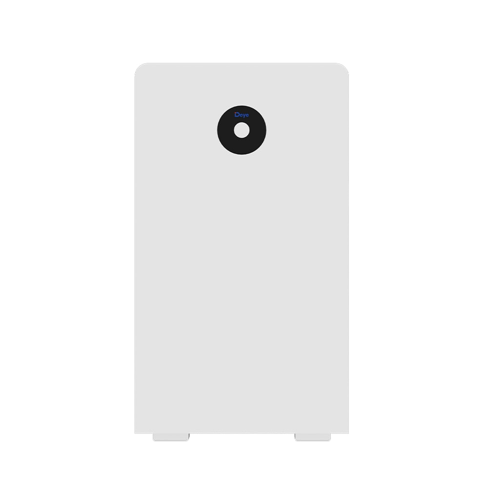 Deye Energy Storage Solution RW-F16 front view