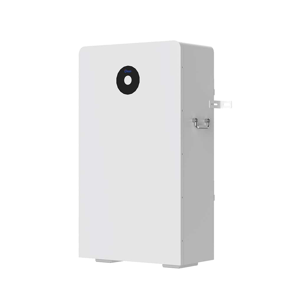 Deye Energy Storage Solution RW-F16 side view