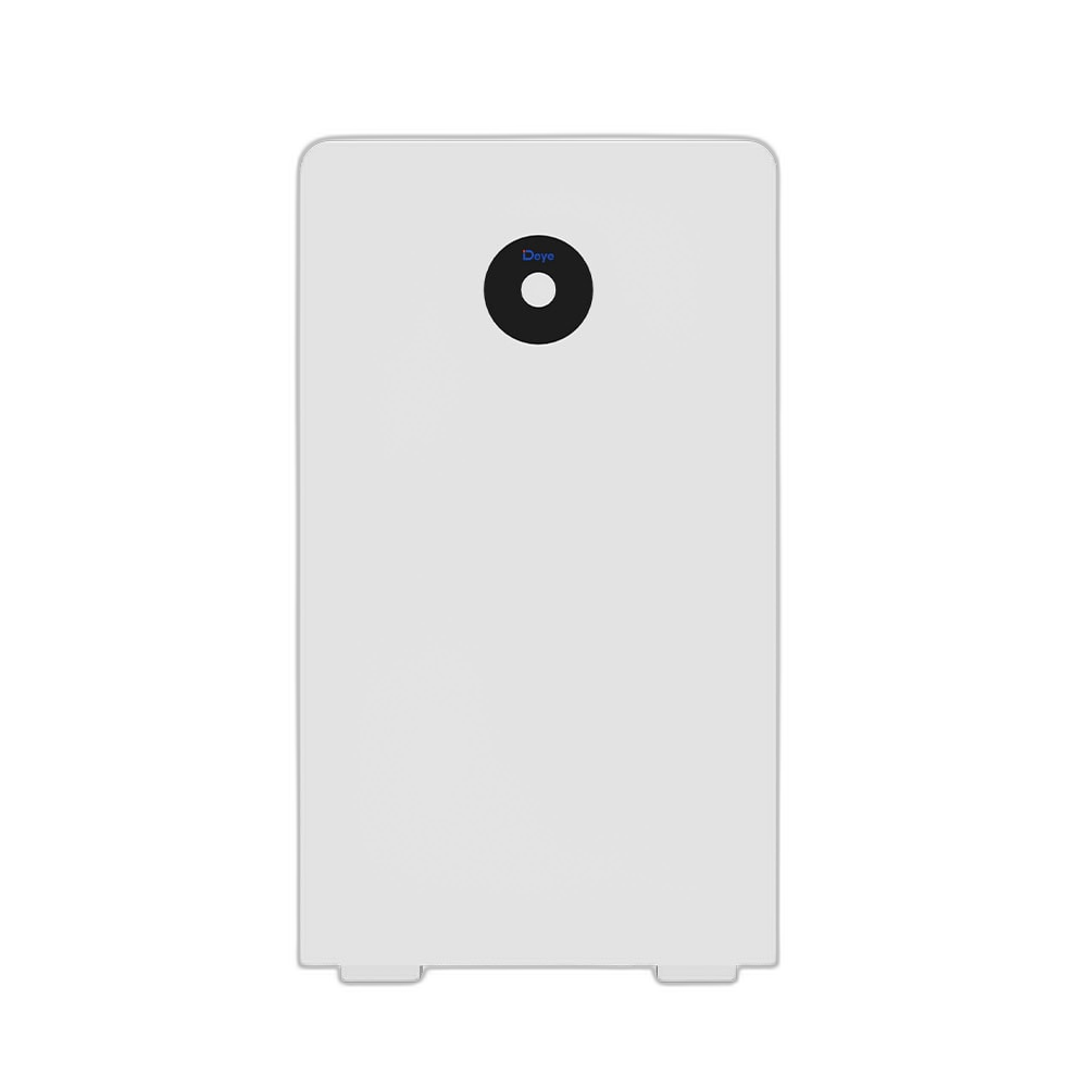 Deye RW-F16 (transparent)
